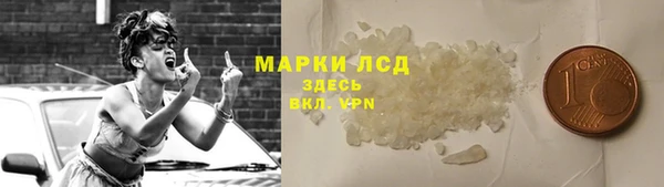 СК Аркадак