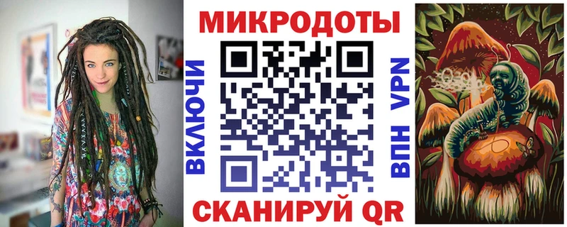 Псилоцибиновые грибы Psilocybine cubensis  Сельцо 